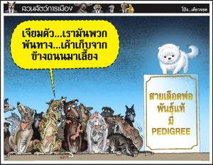 เค้ามีเพดดิกรี