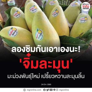 "จิ๋มละมุน" มะม่วงพันธุ์ใหม่