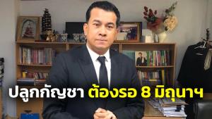 “เชาว์” ยันกัญชายังเป็นยาเสพติดประเภท 5 แนะรอ 8 มิ.ย.ค่อยปลูก