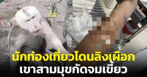 ลูกเพจดังฝากเตือน! ไปเที่ยวเขาสามมุข จ.ชลบุรี โดนลิงเผือกกัดจมเขี้ยว ย้ำอย่าคิดว่ามันจะเชื่อง