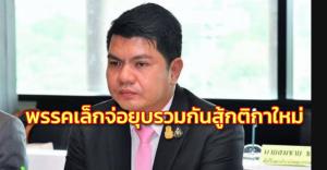 พรรคเล็กจ่อนัดกินข้าวหาทางหนีตาย เล็งยุบรวมกันสู้กติกาใหม่ เน้นส่งแต่ ส.ส.เขต หวัง 10 ที่นั่ง