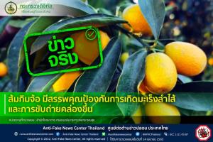 ข่าวจริง! ส้มกิมจ้อ มีสรรพคุณป้องกันการเกิดมะเร็งลำไส้และการขับถ่ายคล่องขึ้น