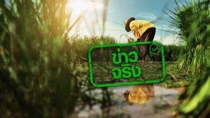 ข่าวจริง! ครม. อนุมัติ 2,054 ล้านบาท ฟื้นฟูเศรษฐกิจฐานรากและชุมชนในภาคเกษตร วิสาหกิจชุมชน จากผลกระทบโควิด 19