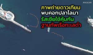 ภาพถ่ายดาวเทียมบริษัทอเมริกันเผยรัสเซียใช้ ‘ฝูงโลมา’ คุ้มกันฐานทัพเรือสำคัญในทะเลดำ
