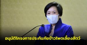 ครม.อนุมัติโครงการประกันภัยข้าวโพดเลี้ยงสัตว์ 224 ล.ปี 65 อุดหนุนค่าเบี้ยประกัน 60% เฉพาะ Tier 1