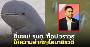 ดร.ธรณ์ชื่นชม 'ท็อป-วราวุธ' ให้ความสำคัญ-ใส่ใจโลมาอิรวดี 14 ตัวสุดท้าย