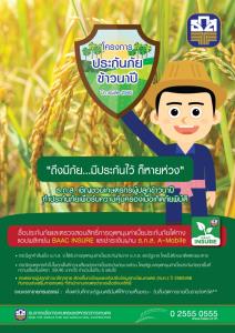 ธ.ก.ส.เดินหน้าโครงการประกันภัยข้าวนาปีและข้าวโพดสัตว์เลี้ยงปีการผลิต 65