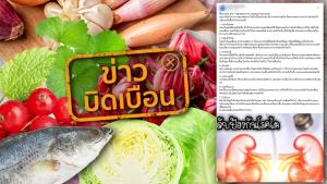 ข่าวบิดเบือน! 7 อาหารและสมุนไพร ป้องกันโรคไต