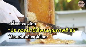 ครั้งแรกของไทย กรมส่งเสริมการเกษตรจัด “ประกวดน้ำผึ้งโพรงคุณภาพดี ปี 2565” ใช้เกณฑ์ตัดสินระดับโลก เพิ่มโอกาสทางการตลาด