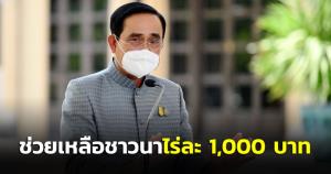 ครม.บรรเทาเดือดร้อนชาวนาไร่ละ 1 พันบาท เห็นชอบแผนปฏิบัติการผู้สูงอายุ หวังดูแลทุกมิติ