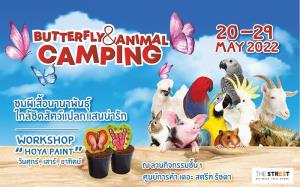 เดอะ สตรีท รัชดา ชวนตื่นตาไปกับผีเสื้อนานาชนิดใน “Butterfly &amp; Animal Camping” แคมป์เรียนรู้ชีวิตสัตว์ใจกลางกรุง