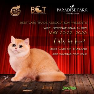 เอาใจทาสแมว ชวนมางาน Best Cats Of Thailand 2022