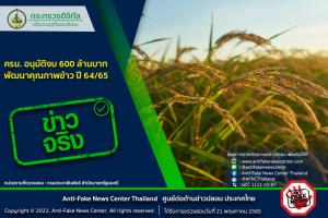 ข่าวจริง! ครม. อนุมัติงบ 600 ล้านบาท พัฒนาคุณภาพข้าว ปี 64/65