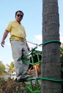 “จักรยานปีนต้นมะพร้าว”  อุปกรณ์การเกษตรจากแรงบันดาล ลดต้นทุน ปีนเก็บได้ปลอดภัย ไม้ง้อลิง