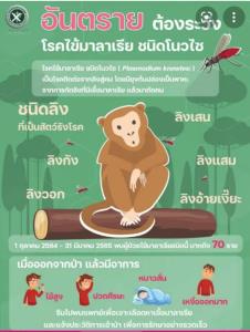 จ.ตราดพบผู้ป่วยไข้มาลาเรียสายพันธุ์โนวไซแล้ว 10 ราย พบแพร่จากลิงสู่คน