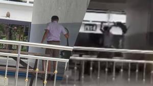 ลิงเขาวังโหด! ลงมาป่วนโรงเรียน แต่เจอ นร.สู้กลับจับฟาด หลังโดนกัดเลือดอาบ