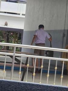 เผยเหตุเด็กนักเรียนถูกฝูงลิงยกพวกรุมกัด แท้จริงคือลิงแย่งข้าวแล้วเด็กไม่ยอมให้