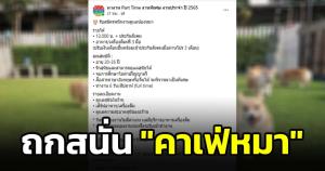 ชาวเน็ตตั้งคำถาม! "คาเฟ่น้องหมา" หาพนักงาน จบป.ตรี พูด 2 ภาษา รับเงิน 12,000 คุณสมบัติสูงไปไหม