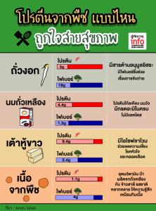 โปรตีนจากพืช เเบบไหน  ถูกใจสายสุขภาพ