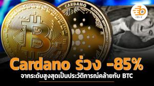 Cardano ร่วง -85% จากระดับสูงสุดเป็นประวัติการณ์คล้ายกับ BTC