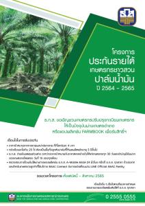 ธ.ก.ส.เดินหน้าโครงการประกันรายได้เกษตรกรชาวสวนปาล์มน้ำมัน