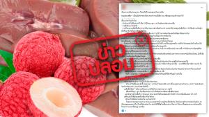 ข่าวปลอม! รักษาโรคไต โดยไม่ต้องฟอกไต ด้วยลิ้นจี่และเซี่ยงจี๊หมู