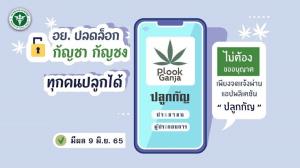 จดแจ้งปลูกกัญชาวันแรก หลังพ้นยาเสพติด ลงทะเบียนไม่ได้ "ปานเทพ" คาด คนแห่เข้าระบบเยอะ อย.เผยลงแล้วกว่า 1 แสนราย