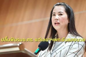 “ปารีณา” ปลื้ม ป.ป.ช.เท่าเทียมฟัน รมช.ศธ.รุกป่า แต่คาใจมีแต่ฝ่าย รบ.โดน เลขาฯ พท.ยังลอยนวล