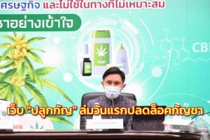 “ปานเทพ” เผย วันแรกปลดล็อกกัญชาคนแห่สนใจ “ปลูกกัญ” จนเว็บล่ม อย.เร่งปรับปรุงจดแจ้งปลูกทุกราย
