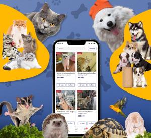 Kaidee เผย 6 สัตว์เลี้ยงยอดฮิตเพื่อคลายเหงา รับเทรนด์ Pet Humanization