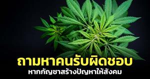 "เทพไท" ถามหาคนรับผิดชอบ หาก "กัญชา" สร้างปัญหาให้สังคม