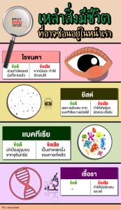 เหล่าสิ่งมีชีวิต  ที่อาจซ่อนอยู่ในหน้าเรา