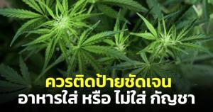 ศูนย์พิษวิทยารามาธิบดี แนะ! ร้านอาหารมีเมนูกัญชาหรือไม่มีเมนูกัญชา ก็ควรติดป้ายชัดเจน