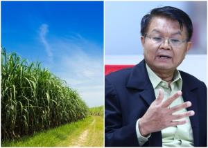 ไทยคาดการณ์อ้อยปี’65/66แตะ106ล้านตันจับตาต้นทุนผลิตพุ่ง