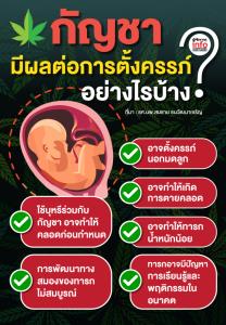 "กัญชา" มีผลต่อการตั้งครรภ์อย่างไรบ้าง?