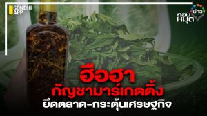 ฮือฮา กัญชามาร์เกตติ้ง ยึดตลาด-กระตุ้นเศรษฐกิจ