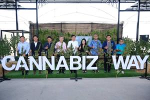 วันเดียวก็เที่ยวได้ !! Cannabiz Way Valley สระบุรี จุดเช็คอินเมืองกัญชาในม่านหมอก