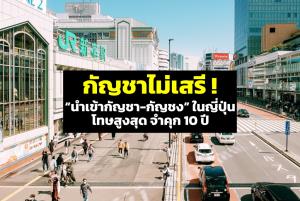 กัญชาไม่เสรี! สถานทูตฯ เตือนคนไทย “นำเข้ากัญชา-กัญชง” ในญี่ปุ่น โทษสูงสุดจำคุก 10 ปี