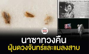 นาซาทวงคืนฝุ่นดวงจันทร์และแมลงสาบ