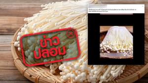 ข่าวปลอม! ห้ามกินเห็ดเข็มทองเพราะมีพิษโควิด 19 อันตรายถึงชีวิต