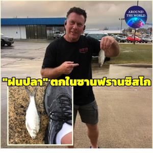 สุดแปลกเหนือธรรมชาติ! มีปลาตกลงมาจากฟ้าเหมือนฝนในซานฟรานซิสโก