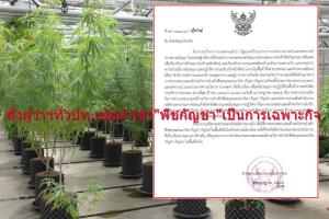 มท.รับลูก! “มนัญญา” สั่งผู้ว่าฯ เฝ้าระวังนำเข้า “พืชกัญชา” เป็นการเฉพาะกิจ เน้นพืชสกุลแคนนาบิสประเทศเพื่อนบ้าน