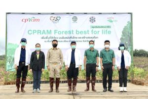 CPRAM Forest best for life #ปลูกเพื่อชีวิตที่ดีกว่า