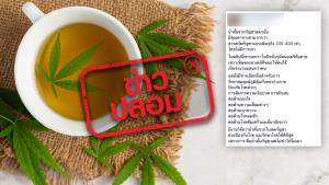 ข่าวปลอม! น้ำกัญชาคั้นสดไม่ออกฤทธิ์ต่อประสาท ป้องกันและรักษาโรคได้ดีกว่าสารสกัดกัญชา