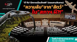“ผี”กับ“นักการเมืองไทย!!!” (ตอนสามสิบสาม) “ความลับ”จาก“สัตว์”ใน“สภาฯ ผี?!”
