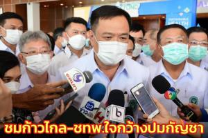 “อนุทิน” จ่อใช้ประกาศ สธ.แทน พ.ร.บ.กัญชาฯ งงฝ่ายค้านไม่ฟังแม้คำปรารภ ชมก้าวไกล-ชทพ.ใจกว้าง