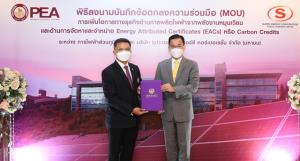 PEA ผนึก SUPER ร่วมพัฒนาจัดหา-ซื้อขาย Carbon Credit