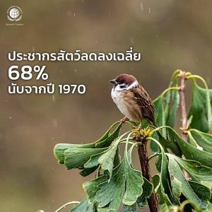 ภูมิอากาศถล่มชีวภาพสัตว์พืช 8 สิ่งมีชีวิตในไทยเริ่มสูญพันธุ์ / ดร.สุวัฒน์ ทองธนากุล