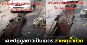เห็นแล้วแทบช็อก! รถกระบะลากเศษปฏิกูลยาวเป็นเมตรออกมาจากท่อระบายน้ำ (ชมคลิป)