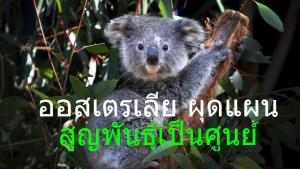 แผนเด็ด ออสเตรเลีย ‘สูญพันธุ์เป็นศูนย์’ จัดสรรที่ดิน 30% ปกป้องสัตว์ 110 สายพันธุ์ ใกล้สูญพันธุ์